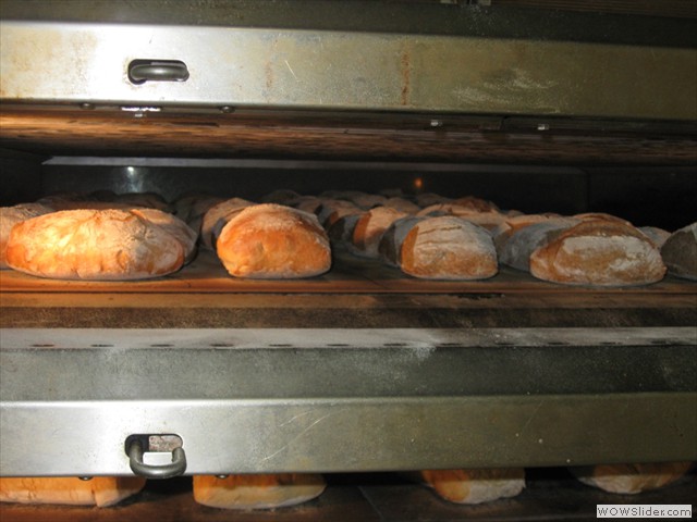 Spiando dentro al forno